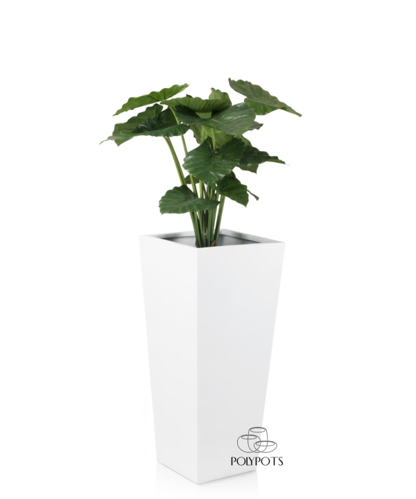 Chậu composite TL1105