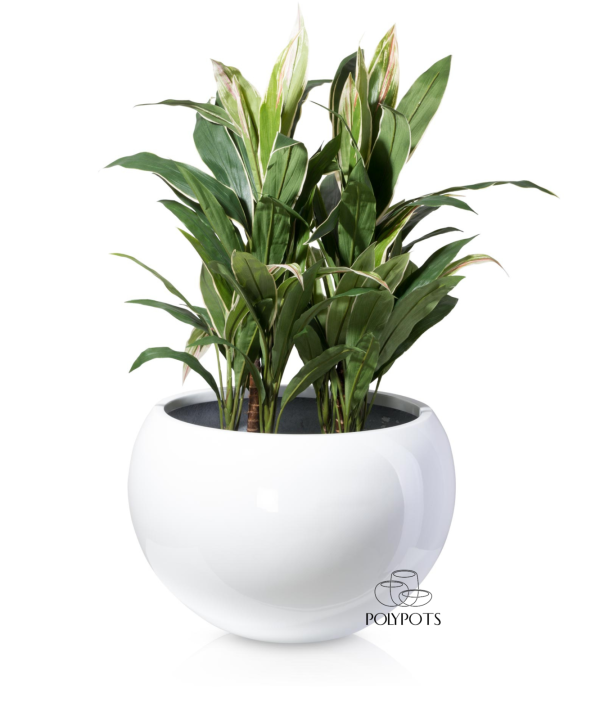 Chậu composite TL1112