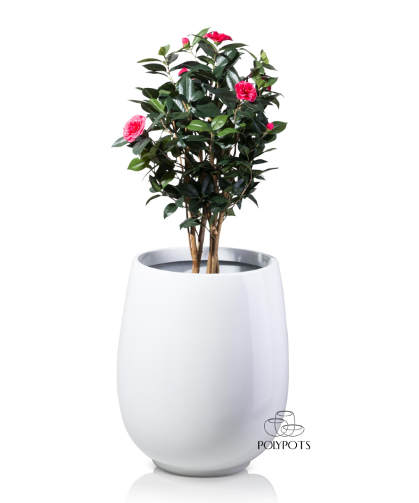 Chậu composite TL1103