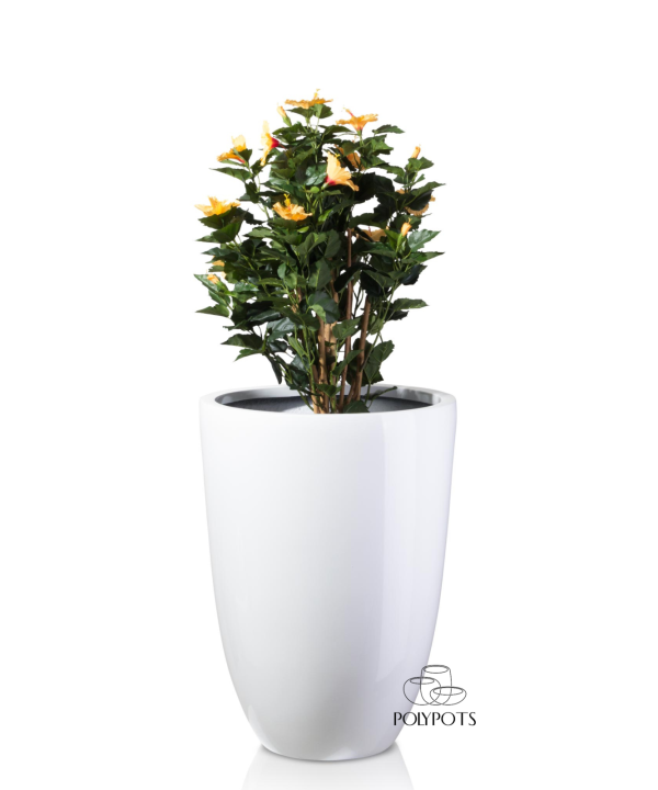 Chậu composite TL1104